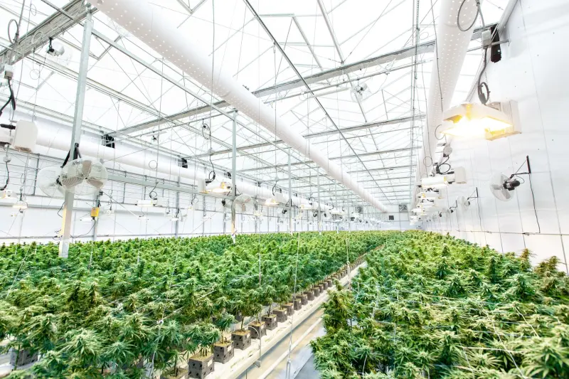 湖北软件开发与系统集成服务的技术架构选型分析