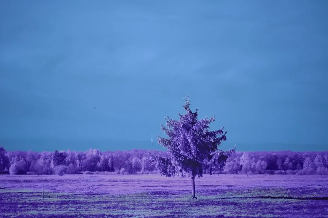湖北左眼眺科技软件开发项目管理流程与交付标准详解