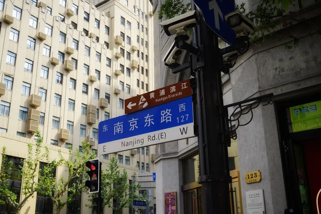 软件开发与系统集成服务对比：左眼眺科技技术优势分析